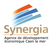 synergia